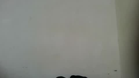 Nonni online show from February 2026 10:33:01 AM