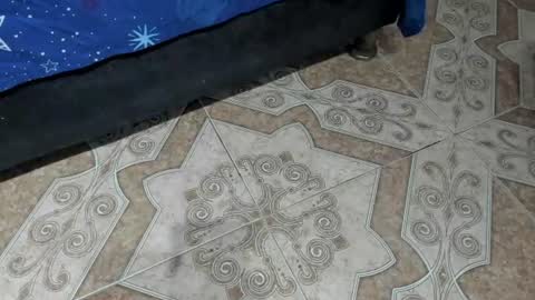 sexynova 93 online show from June 2026 08:33:02 PM