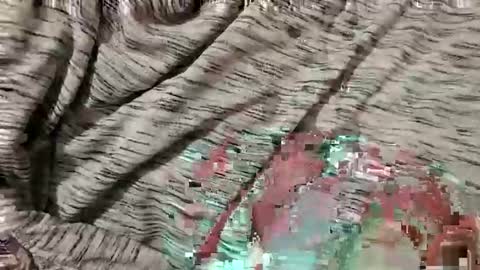 sexythickock online show from May 2026 01:38:02 PM