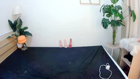 sexytrixie11 online show from June 2026 03:47:02 AM