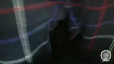 sgtcumhardjaxfl online show from February 2025 06:02:02 PM