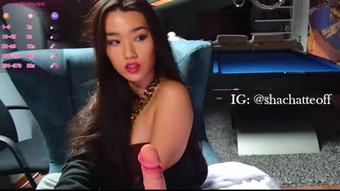 Snapshot of shachatte chatting on November 2025 09:31:01 AM Shachatte online show from November 2025 09:31:01 AM