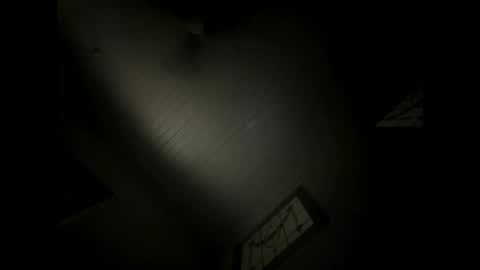 shaggydog774112 online show from December 2024 05:39:02 AM