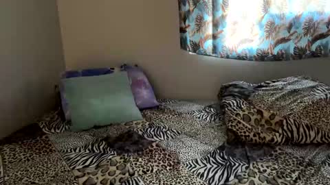 Shaman Woman online show from December 2024 05:11:01 PM