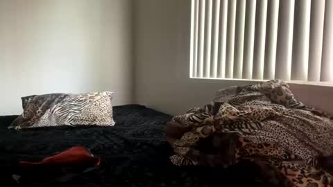 Shaman Woman online show from December 2024 08:07:01 PM