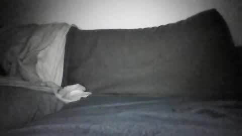 Snapshot of shamefullyshort chatting on December 2025 06:14:01 PM Shorty online show from December 2025 06:14:01 PM