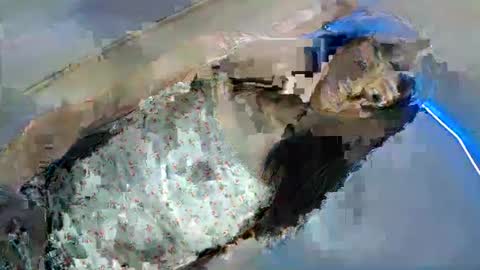 bini aiah online show from March 2025 04:23:02 AM