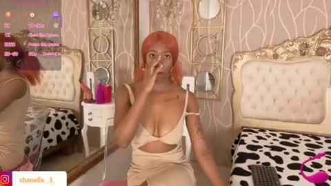 S H A N E L L E   online show from June 2026 02:04:01 PM