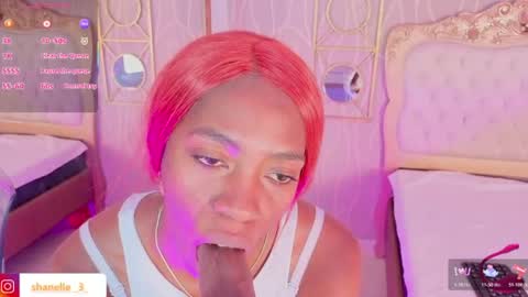S H A N E L L E   online show from June 2026 02:54:02 PM