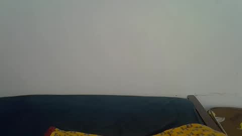 shanizz online show from May 2026 07:33:01 PM