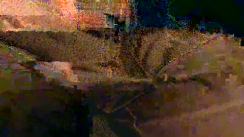 shapelyhelm1 online show from February 2025 08:10:01 AM