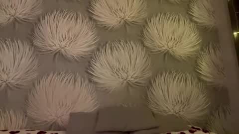 Snapshot of shaquitaalcosiba chatting on January 2026 08:03:01 PM Alica online show from January 2026 08:03:01 PM