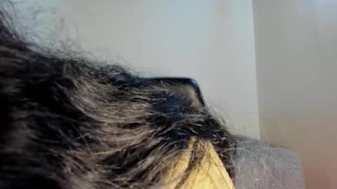 Sara online show from October 2025 05:06:01 AM