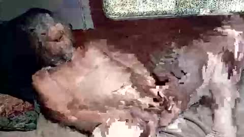 Snapshot of sharoc666 chatting on March 2026 02:45:01 PM Shamroc online show from March 2026 02:45:01 PM