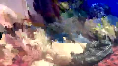 Snapshot of sharoc666 chatting on March 2026 12:58:02 AM Shamroc online show from March 2026 12:58:02 AM