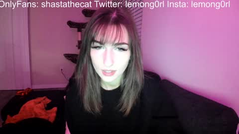 Snapshot of shastathecat chatting on December 2024 01:47:02 AM Shasta online show from December 2024 01:47:02 AM