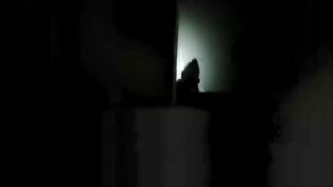 Snapshot of shaunhosking3 chatting on December 2025 04:47:01 PM shaunhosking3 online show from December 2025 04:47:01 PM