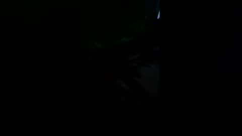 Snapshot of shaunhosking3 chatting on February 2026 09:52:02 PM shaunhosking3 online show from February 2026 09:52:02 PM