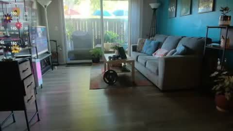 sheilyn_smith online show from July 2026 02:19:02 AM