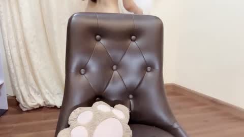 Shelly online show from July 2026 01:19:01 AM