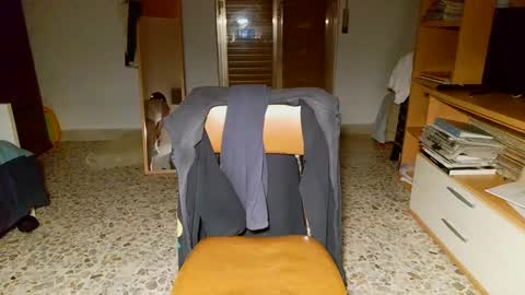 shinikari online show from December 2024 04:40:01 PM