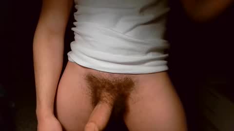 shinikari online show from March 2026 03:04:01 PM