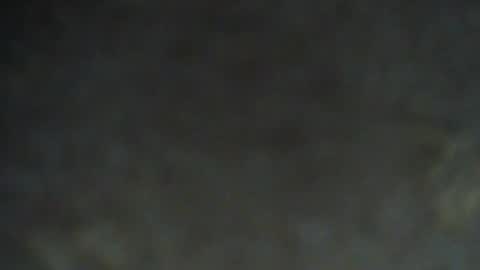 shinshin1177 online show from July 2026 07:53:02 PM