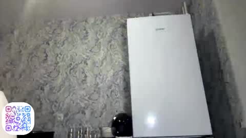 Snapshot of shonnalyssy chatting on April 2026 07:29:01 PM Your Shona online show from April 2026 07:29:01 PM