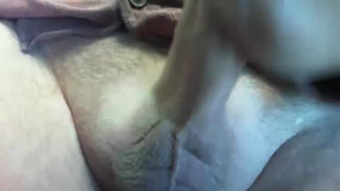 Shoot4u online show from February 2026 11:17:01 AM