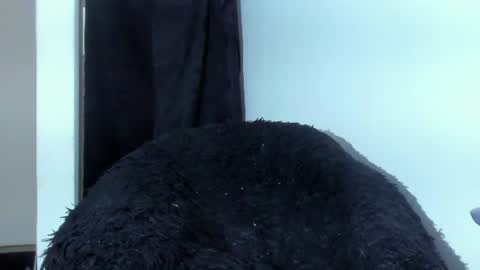 Shooter online show from July 2026 04:27:01 AM