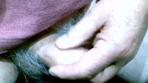 Snapshot of shootertog chatting on October 2025 10:48:02 AM shootertog online show from October 2025 10:48:02 AM