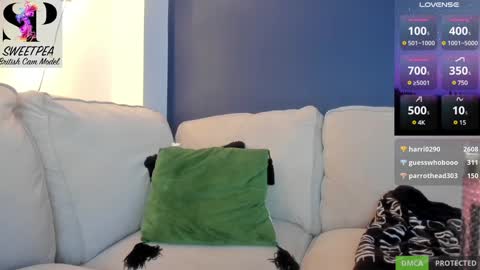 Snapshot of short_sweetpea chatting on December 2024 08:54:02 PM short sweetpea online show from December 2024 08:54:02 PM