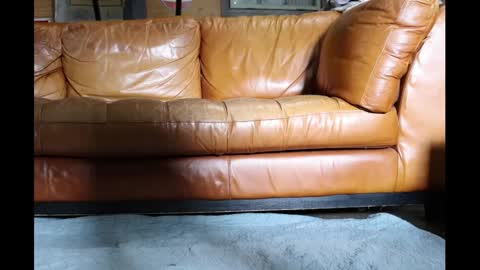 Snapshot of shrimp_stuck chatting on February 2025 05:30:01 PM shrimp_stuck online show from February 2025 05:30:01 PM