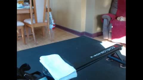 Snapshot of shy_guy_spc chatting on February 2026 06:56:02 PM shy guy spc online show from February 2026 06:56:02 PM