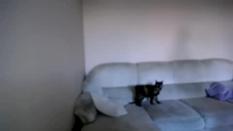 shy_sabrina_ online show from April 2026 03:53:01 PM