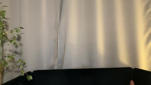 Amelia online show from February 2025 07:14:02 PM