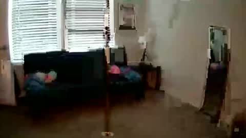 shypetitebaby online show from May 2026 05:50:02 PM