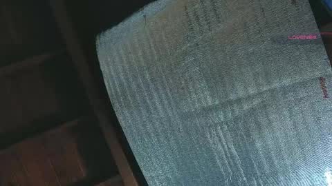 silvabranko online show from April 2026 01:11:02 AM