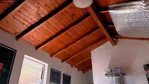 Snapshot of silvabranko chatting on June 2026 03:09:01 PM silvabranko online show from June 2026 03:09:01 PM