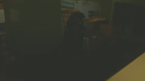 silvin76 online show from January 2025 05:08:02 AM