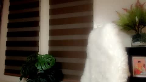     online show from January 2026 09:24:01 AM