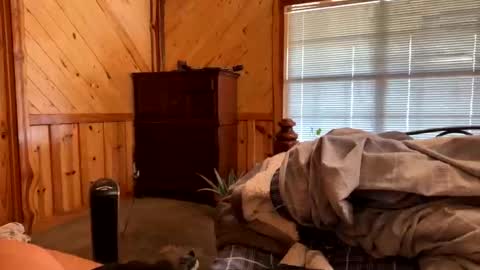 Snapshot of sinfull2022 chatting on February 2026 04:38:02 PM sinfull2022 online show from February 2026 04:38:02 PM