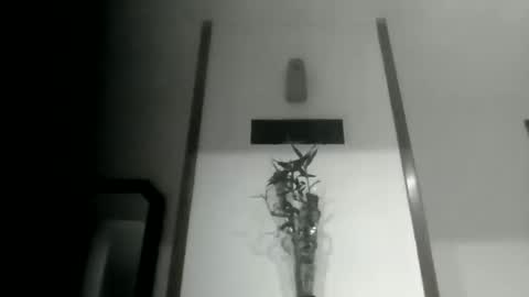 sioque376201 online show from March 2026 11:43:02 PM