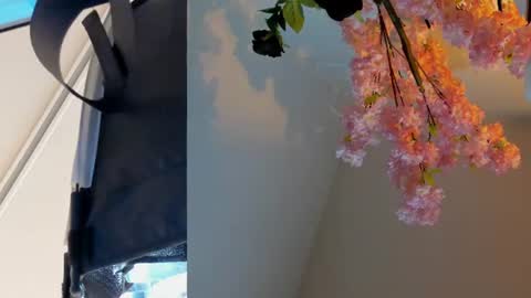 Snapshot of siouxsie_cenobite chatting on June 2026 11:09:02 AM Siouxsie online show from June 2026 11:09:02 AM
