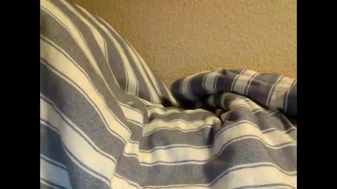 sircamalot45 online show from February 2025 01:36:01 AM