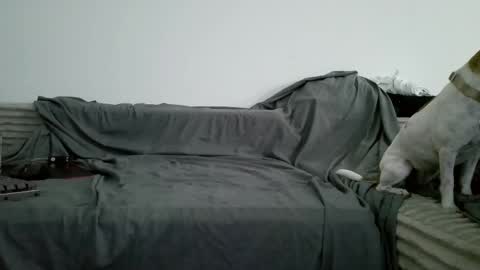sircheese69x2 online show from June 2026 08:19:01 AM