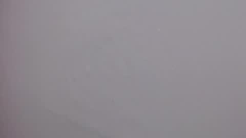 Elyzabeth online show from July 2026 04:37:02 PM