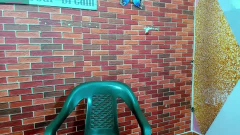 Snapshot of sirryant chatting on February 2025 12:34:01 PM SIR RYANT online show from February 2025 12:34:01 PM