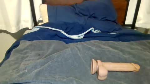 camilcamilla sheher online show from July 2026 05:13:01 AM
