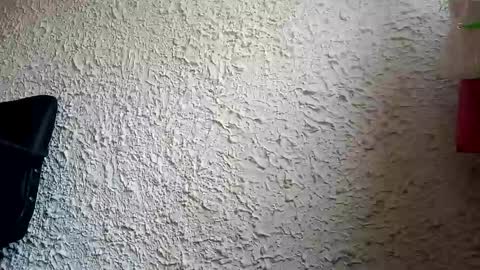 TOMY online show from January 2025 12:31:01 PM